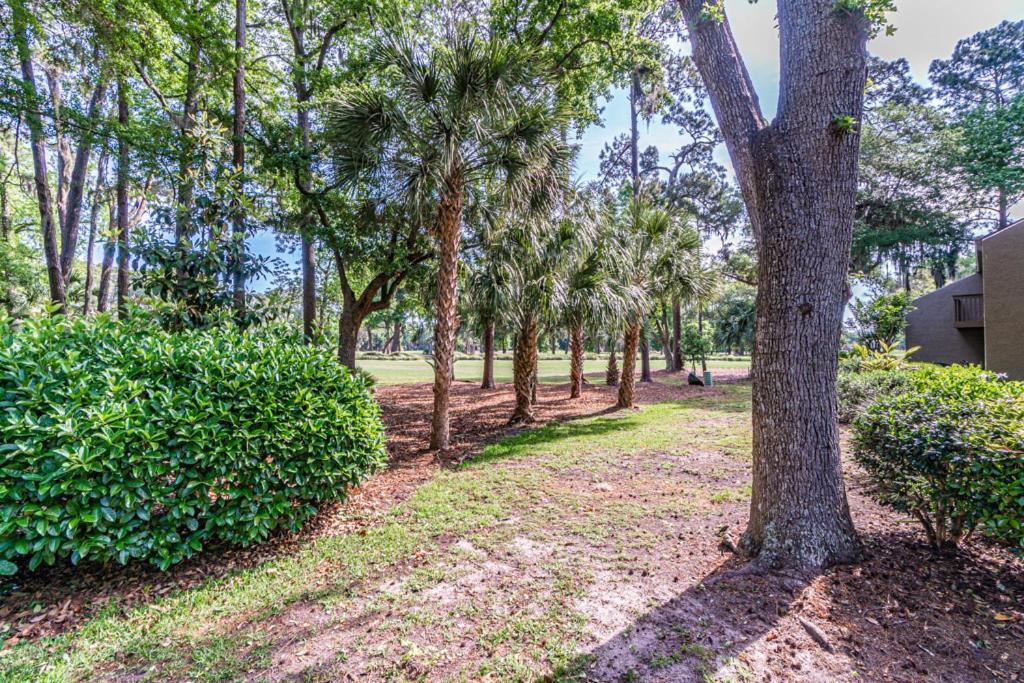 Pet Friendly! 503 Plantation Club Walk To Pool Sleeps 6 Sea Pines Vila Hilton Head Island Exterior foto