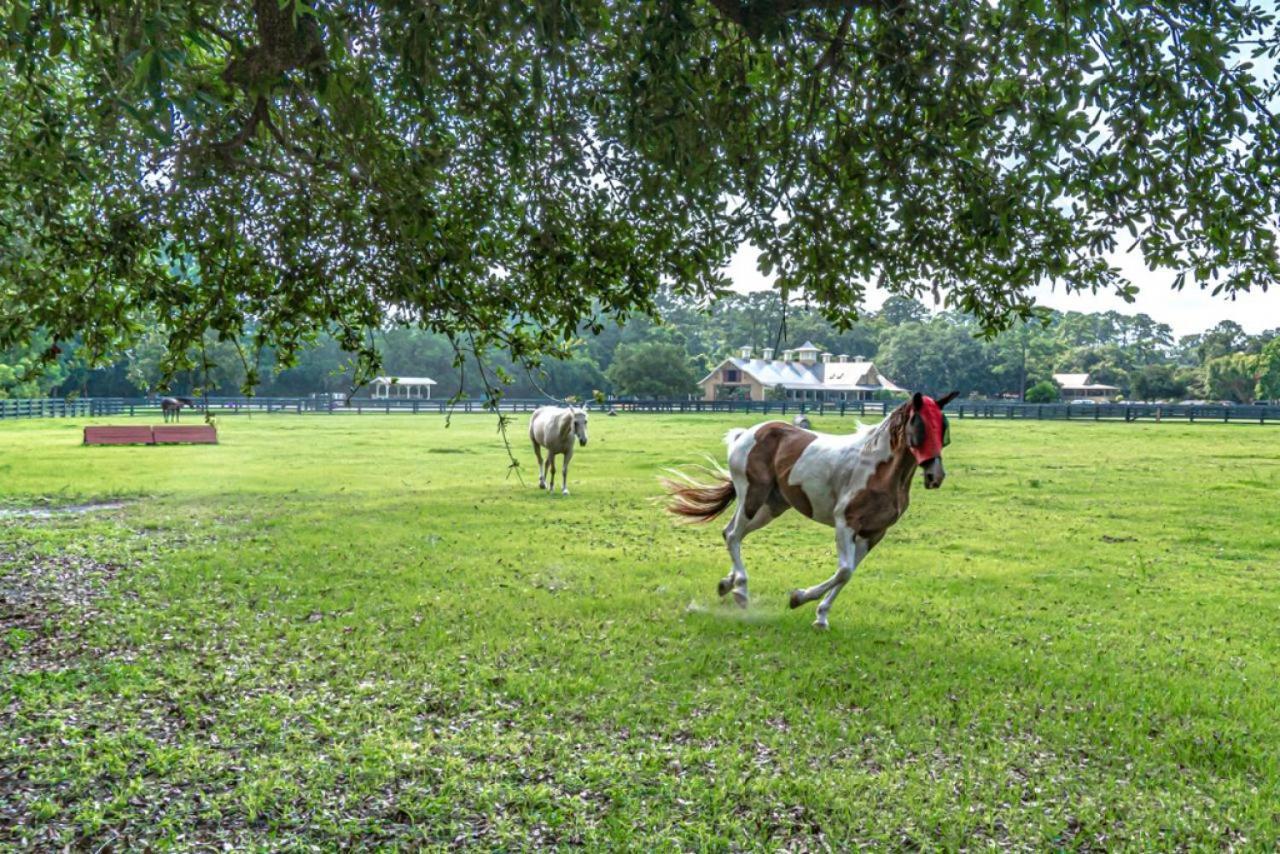 Pet Friendly! 503 Plantation Club Walk To Pool Sleeps 6 Sea Pines Vila Hilton Head Island Exterior foto